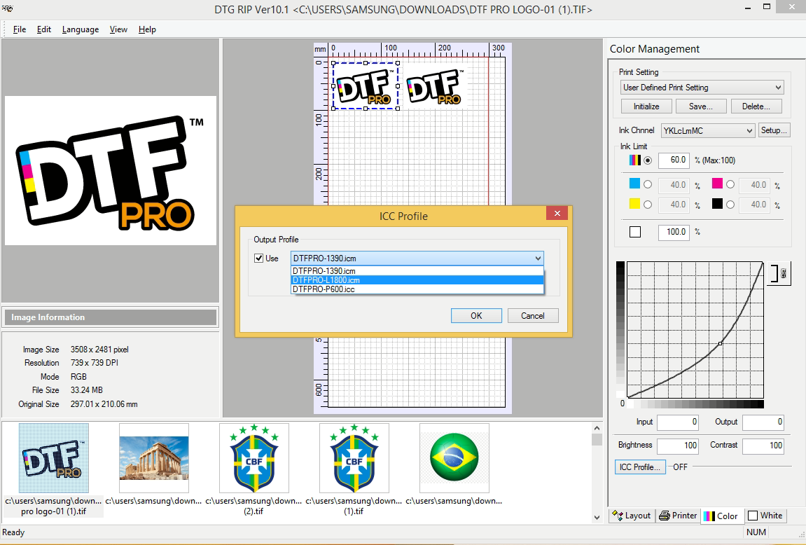 ACRORIP version 10.xx, works for DTF and UV Printers Software with Onboarding Support
