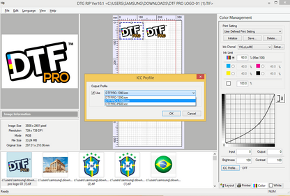 ACRORIP version 10.xx, works for DTF and UV Printers Software with Onboarding Support